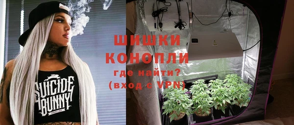 стаф Протвино