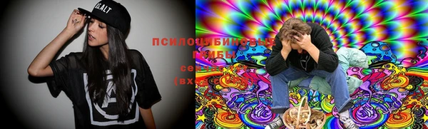твердый Пролетарск