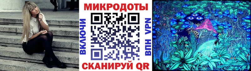 купить наркотик  Суоярви  Псилоцибиновые грибы ЛСД 